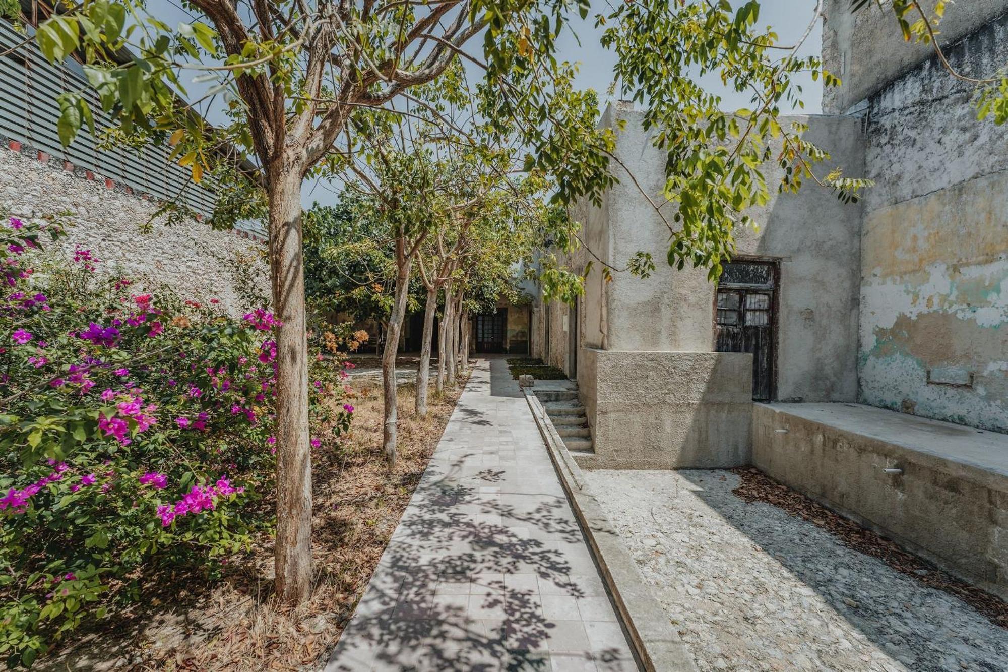 Amplia Habitacion Privada Centro Merida Exterior photo